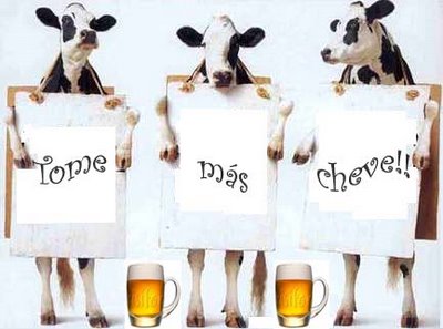 Mundo Vacuno y algo mas...