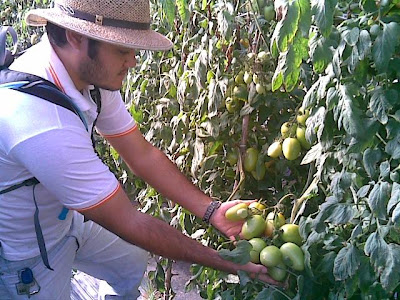 Conceitos Básicos de Agroecologia Conceitos Básicos de Agroecologia