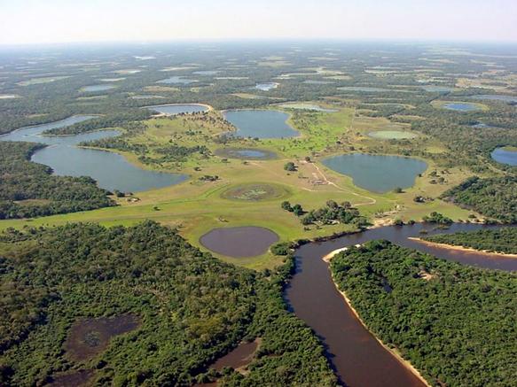 Parque Nacional do Pantanal 