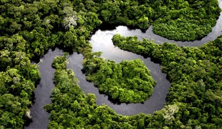 Floresta Nacional de Caxiuanã | Pará Floresta Nacional de Caxiuanã | Pará