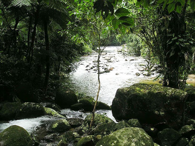 Floresta Estadual de Manduri Floresta Estadual de Manduri
