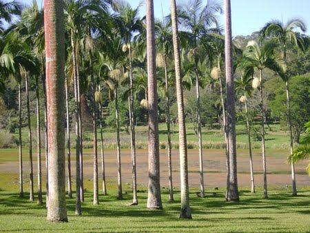 Floresta Estadual de Edmundo Navarro de Andrade Floresta Estadual de Edmundo Navarro de Andrade