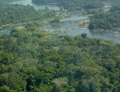 Estação Ecológica do Rio Roosevelt | Mato Grosso Estação Ecológica do Rio Roosevelt | Mato Grosso