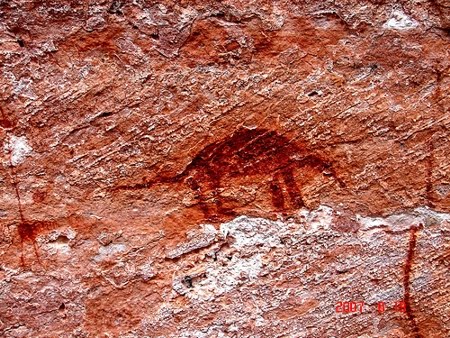 PARQUE NACIONAL DA SERRA DAS CONFUSÕES - PIAUÍ PARQUE NACIONAL DA SERRA DAS CONFUSÕES - PIAUÍ