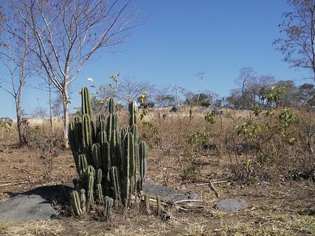 Área de Proteção Ambiental Carste Lagoa Santa | Minas Gerais Área de Proteção Ambiental Carste Lagoa Santa | Minas Gerais