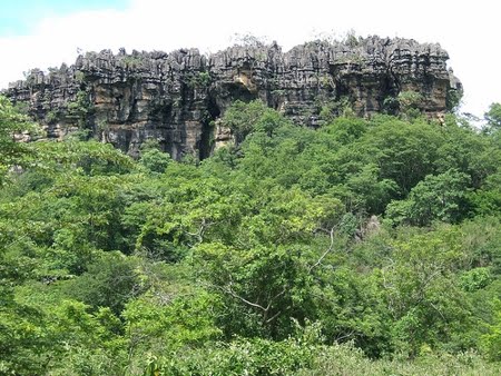 Parque Estadual da Lapa Grande | Minas Gerais Parque Estadual da Lapa Grande | Minas Gerais
