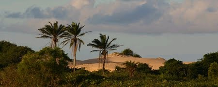 Parque Estadual de Itaúnas | Espírito Santo Parque Estadual de Itaúnas | Espírito Santo