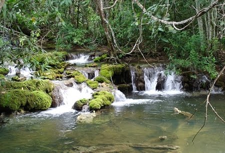 Parque Estadual do Jurupará | São Paulo Parque Estadual do Jurupará | São Paulo