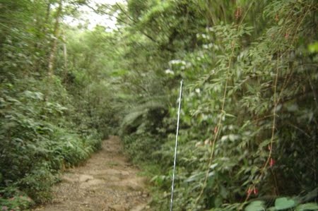 Parque Estadual Pico do Marumbi | Paraná Parque Estadual Pico do Marumbi | Paraná