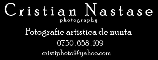Cristian Nastase - Fotografie artistica de nunta