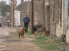 De paseo por Siria