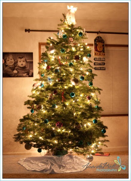 dec-095.jpg