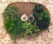 Herbs from the Garden