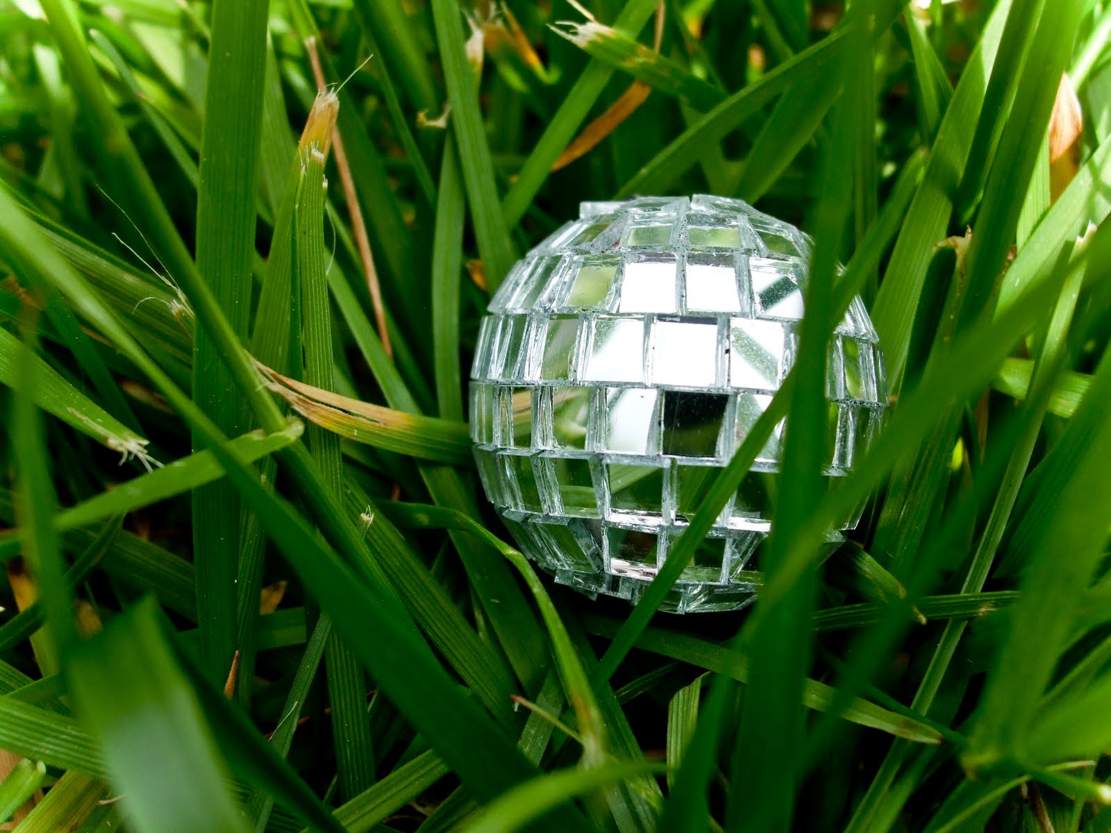 Bailey Thompson's A Photo A Week Disco Balls in Nature Set 1