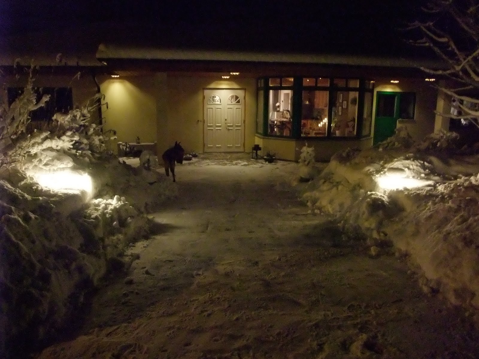 stora bröst escort mogna äldre kvinnor stora bröst escort mogna äldre kvinnor