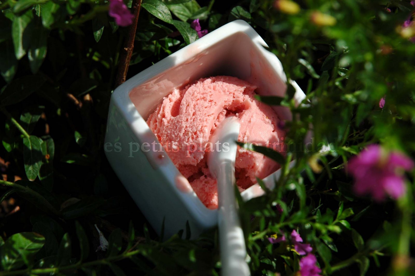 Glace à la fraise sans creme anglaise recettes dessert Glace à la fraise facile (sans crème anglaise)