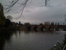 The River Severn, Worcester