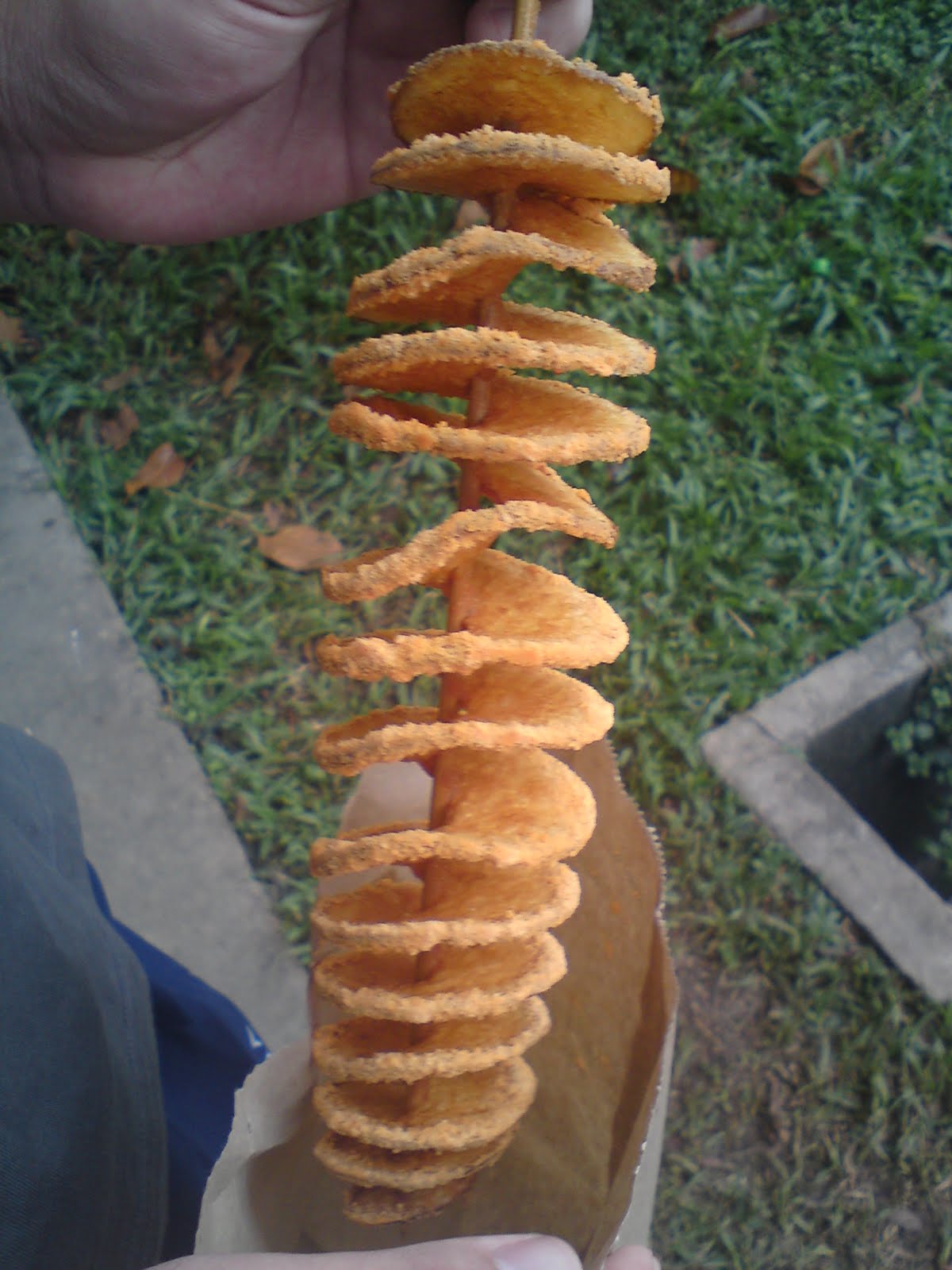 Life In JLow Twisted Potato