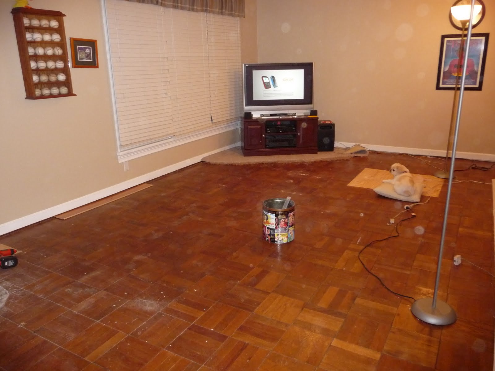 Refinish Hardwood Floors Refinish Hardwood Floors After Pulling Up Carpet