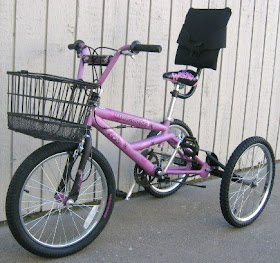 3 wheel bikes for special needs