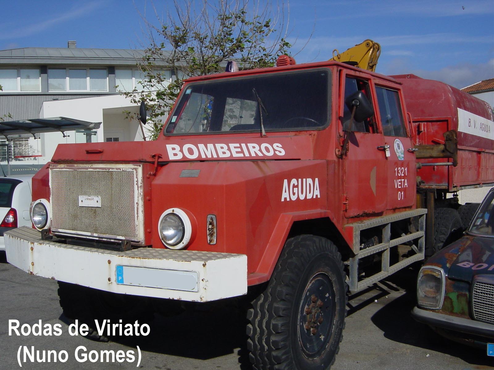 [leopardo+bv+aguda.jpg]