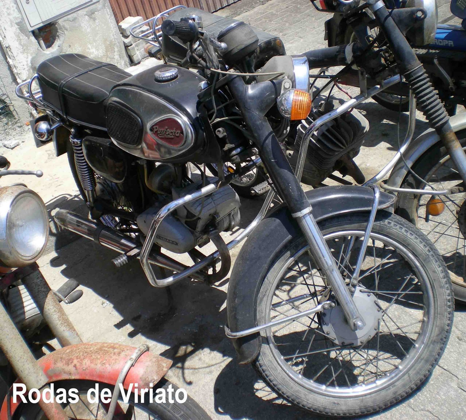 [perfecta+preta1.jpg]