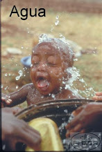 DEREITO A VIDA DIGNA