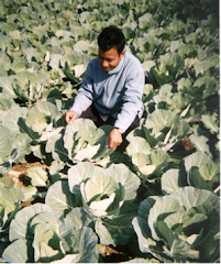 Big Bro with big results