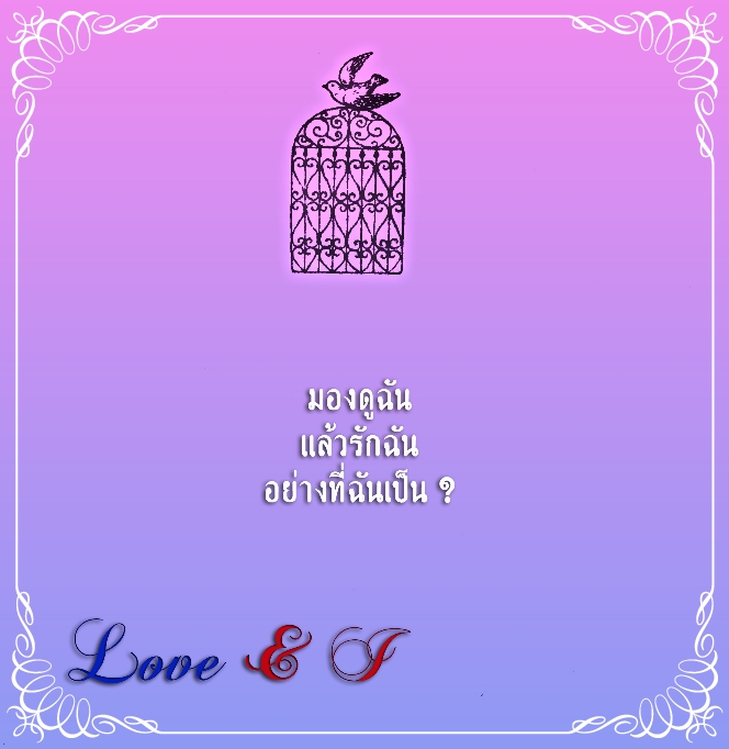 My Image 47