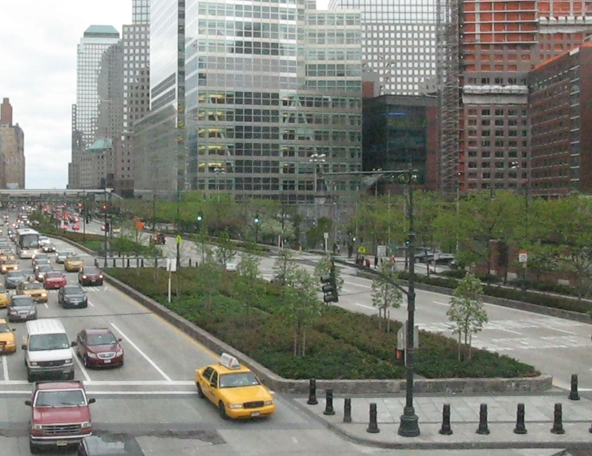 Places and Spaces Lecture Tree Selection for Survival in New York City