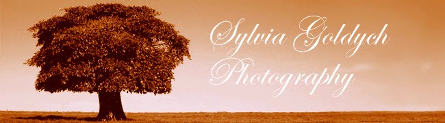 Sylvia Goldych Photography