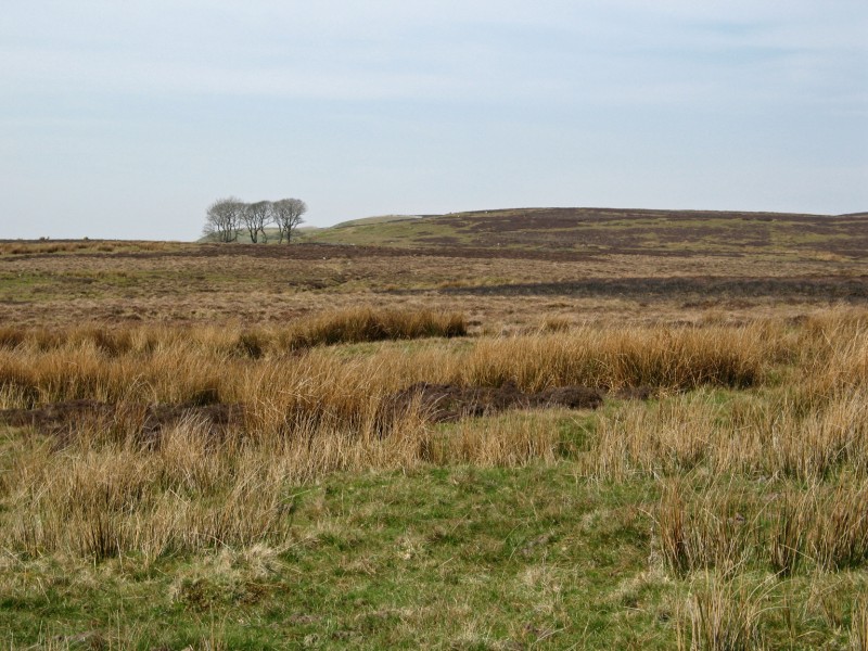 [102+View+across+to+Whitfield+Fell+Askrigg+Common.jpg]