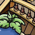 Club Penguin Pics!