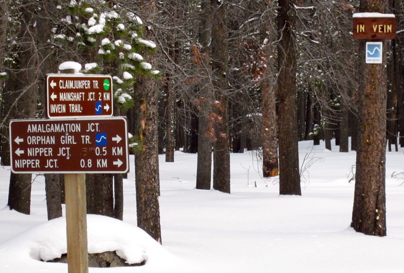 EcoRover The Moulton Cross Country Ski Trails a brief guide