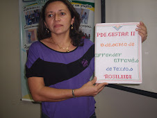 Portifólio - Rosileide: O desafio de aprender através de textos