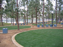 Cardio Vascular Spaces in Metros of India