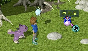 1.JPG