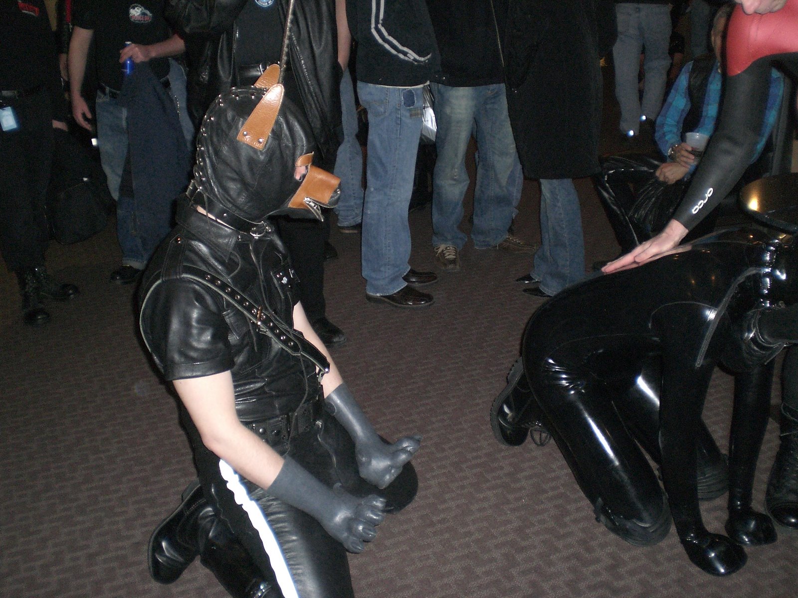 [MAL2008+006.jpg]
