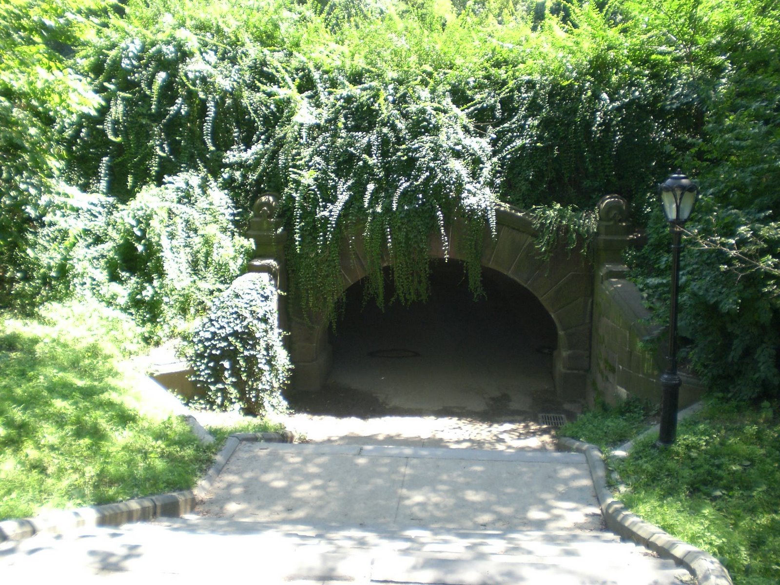 [august5th2007+094.jpg]