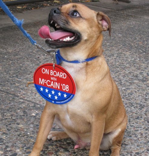 [mccaindog.jpg]