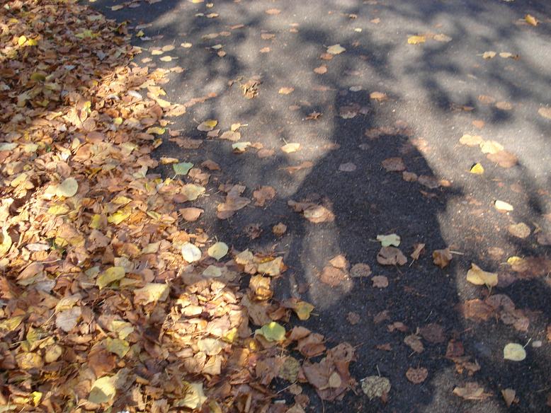 [DSC00371.JPG]