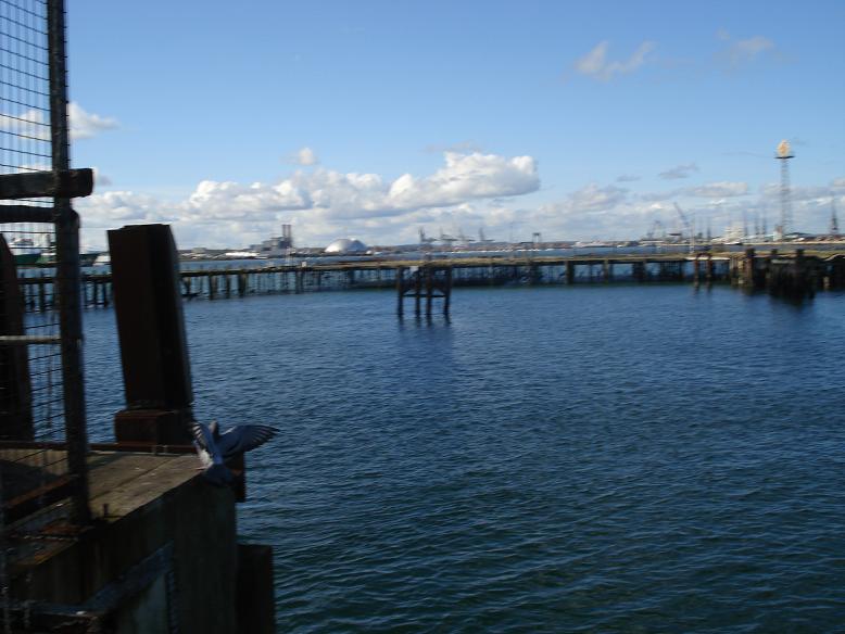 [DSC00388.JPG]