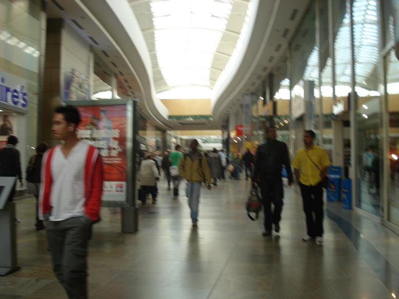 [DSC00409.JPG]