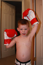 My Little Boxer