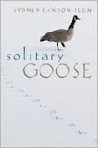 Solitary Goose