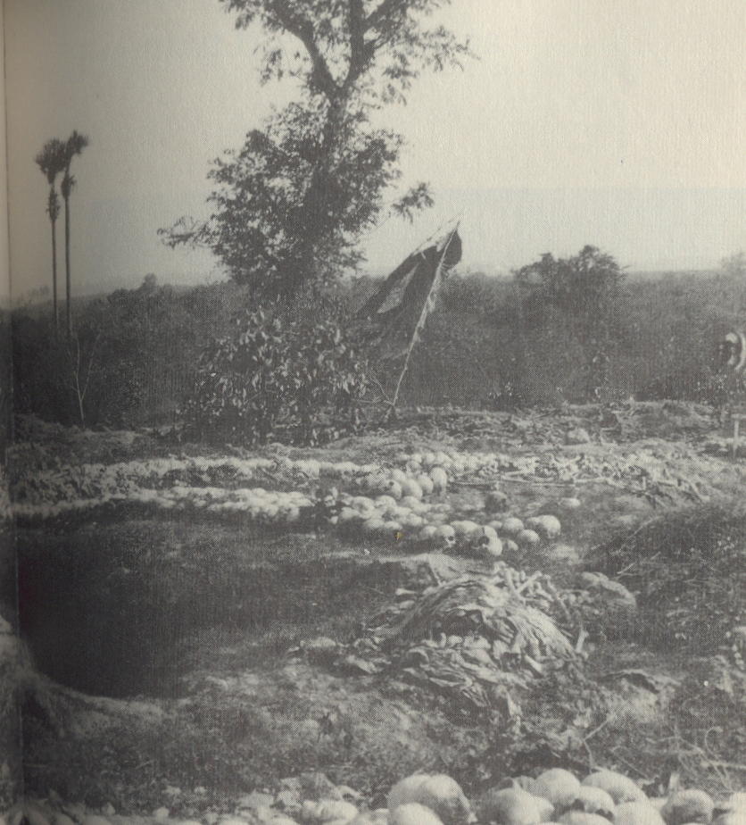 The Cambodia Chronicle: The Killing Fields: A Perpetual Nightmare