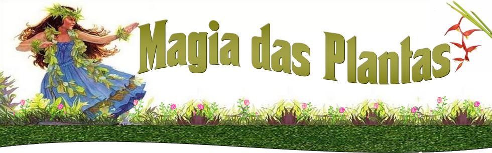 Magia das Plantas