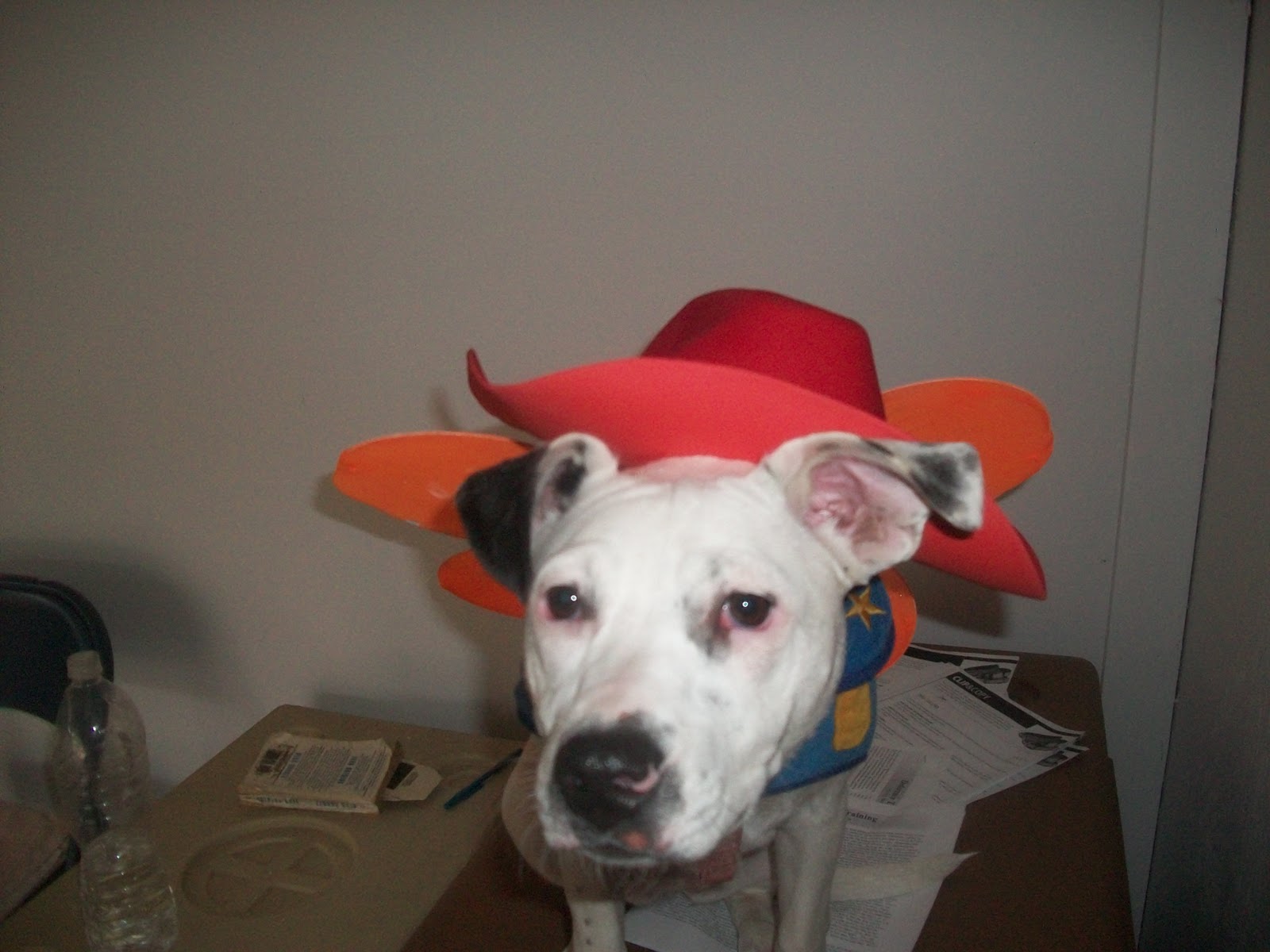 Best Friends Bethany