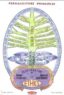 [permaculture%2520poster.jpg]