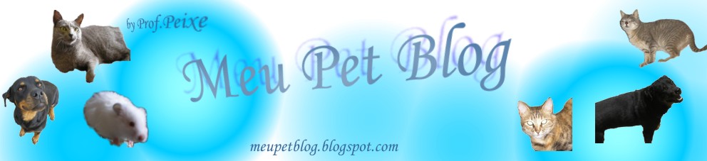 Meu Pet Blog